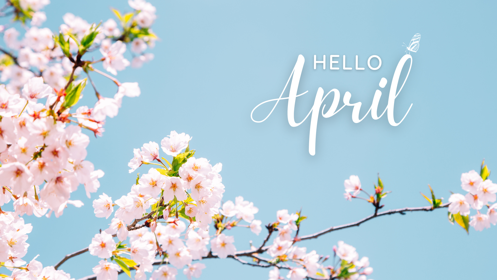 April 2024 Events