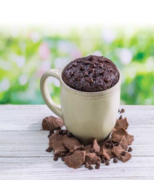 Mug Cakes - 4 Flavors