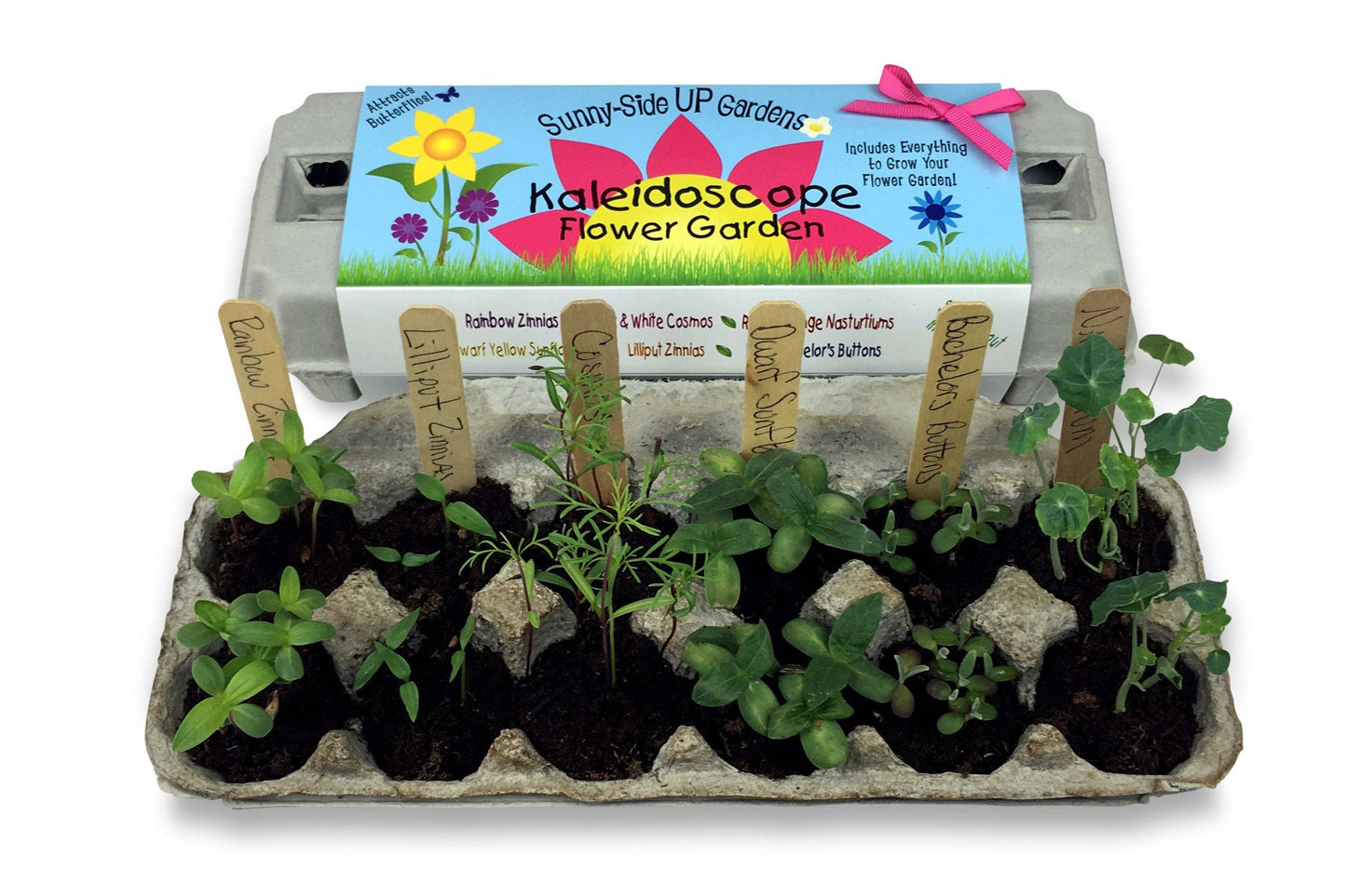 Kaleidoscope Flower Garden Grow Kit