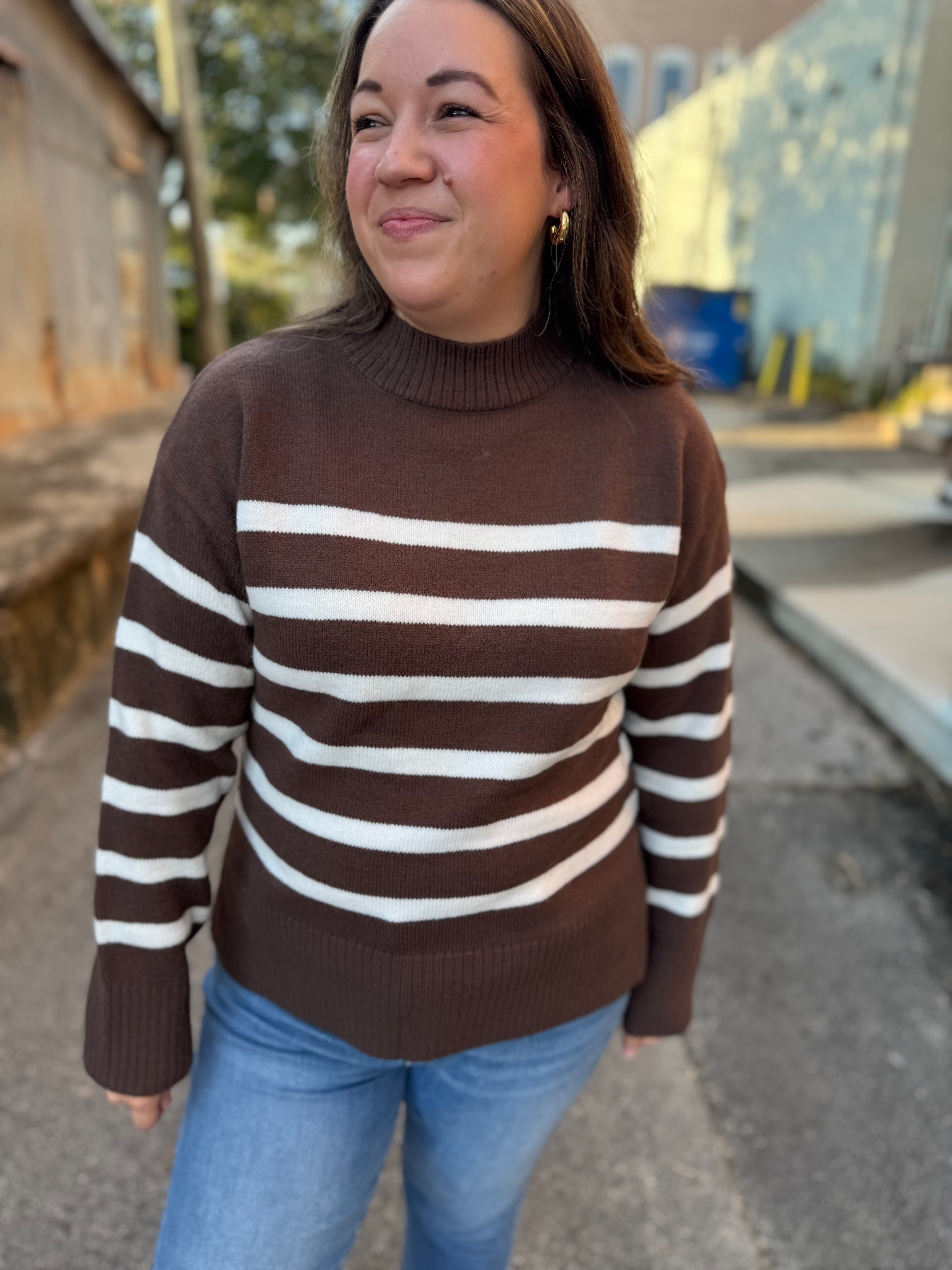 Simple Striped Sweater in Brown